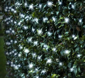 150 LED Solar White Net Light