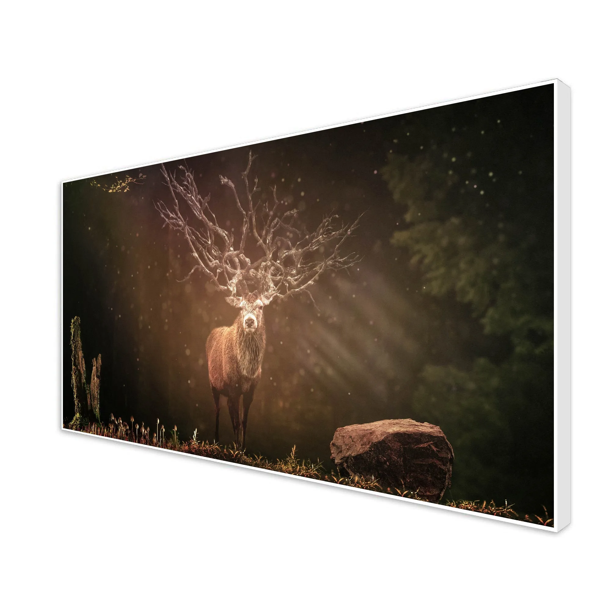 A Beautiful Deer in Dark Forest Floating Wall Painting