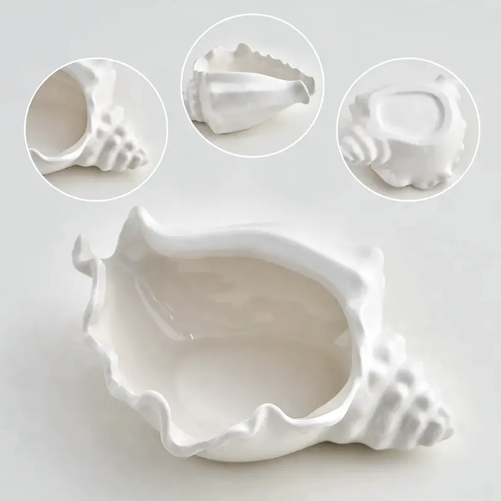 Conch Shell Bowl