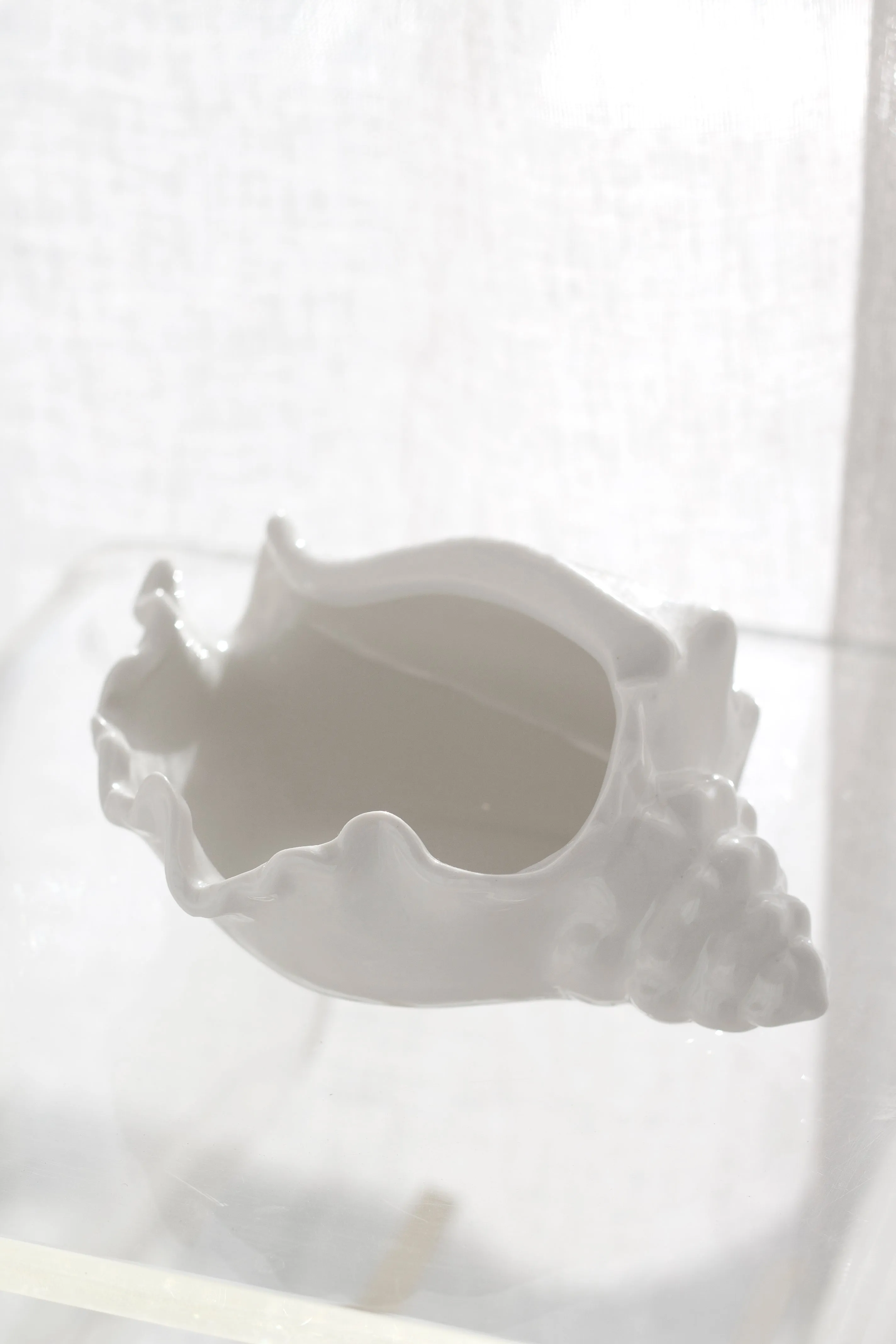 Conch Shell Bowl