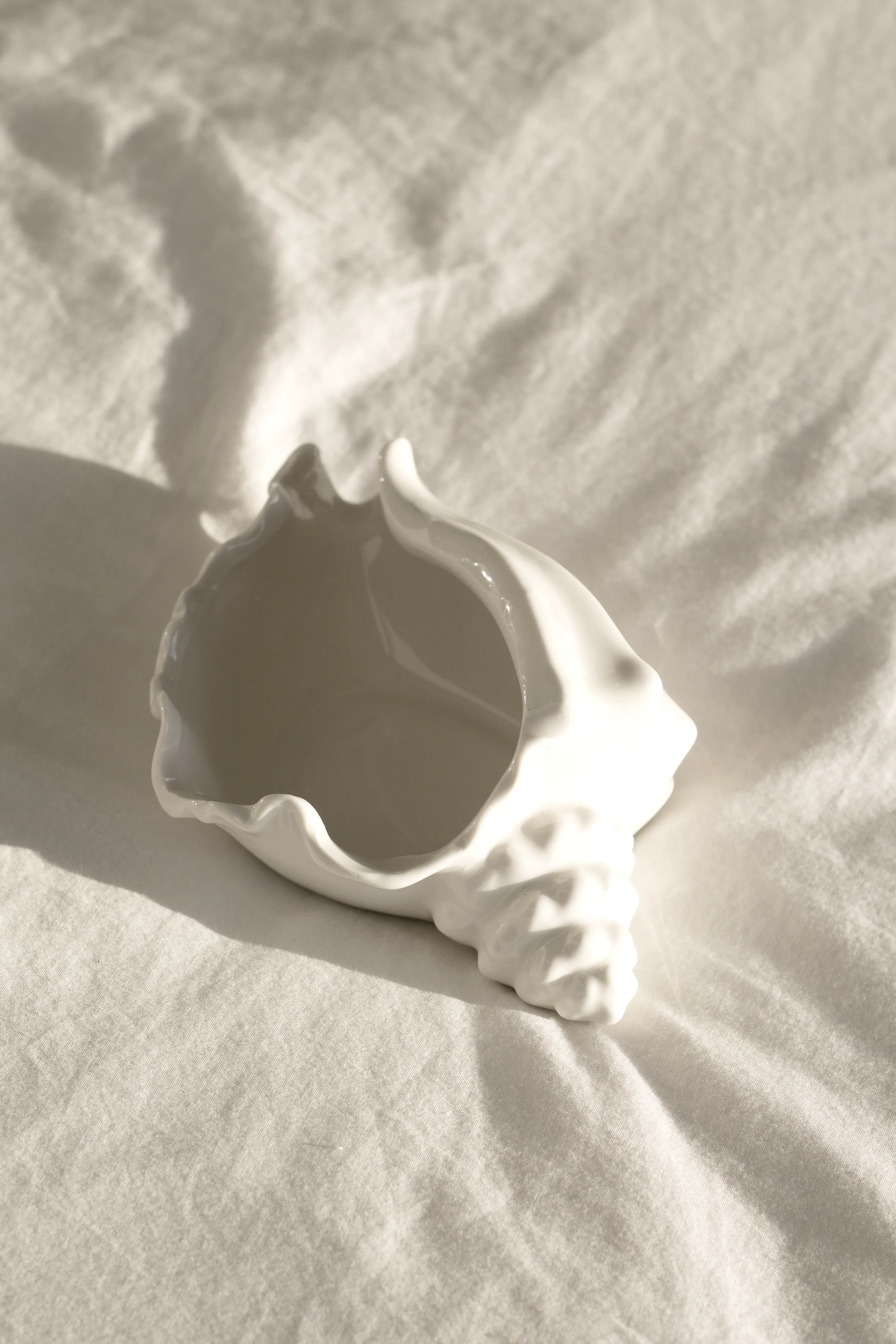 Conch Shell Bowl