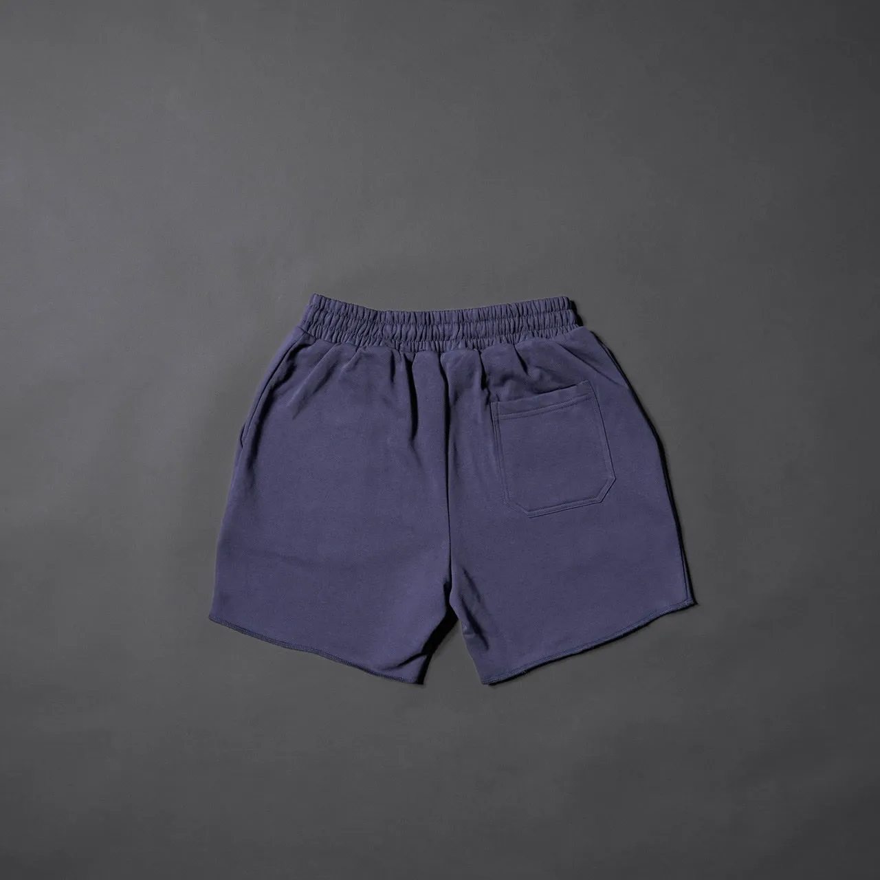 Men's Varsity Shorts Varsity Blue